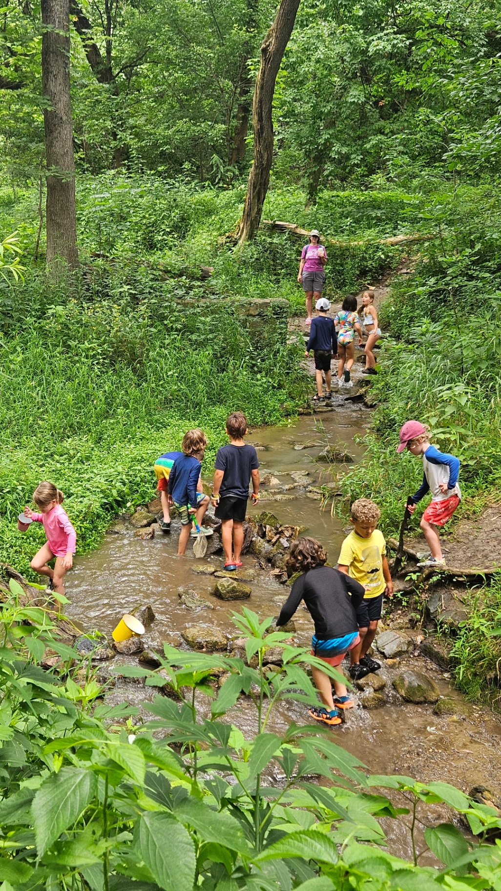 Children exploring Holliday Park forest at golden hour